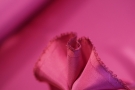 Silk satin - fuchsia